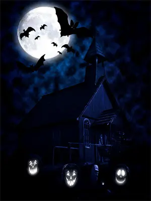 倾尽一生所有什么意思